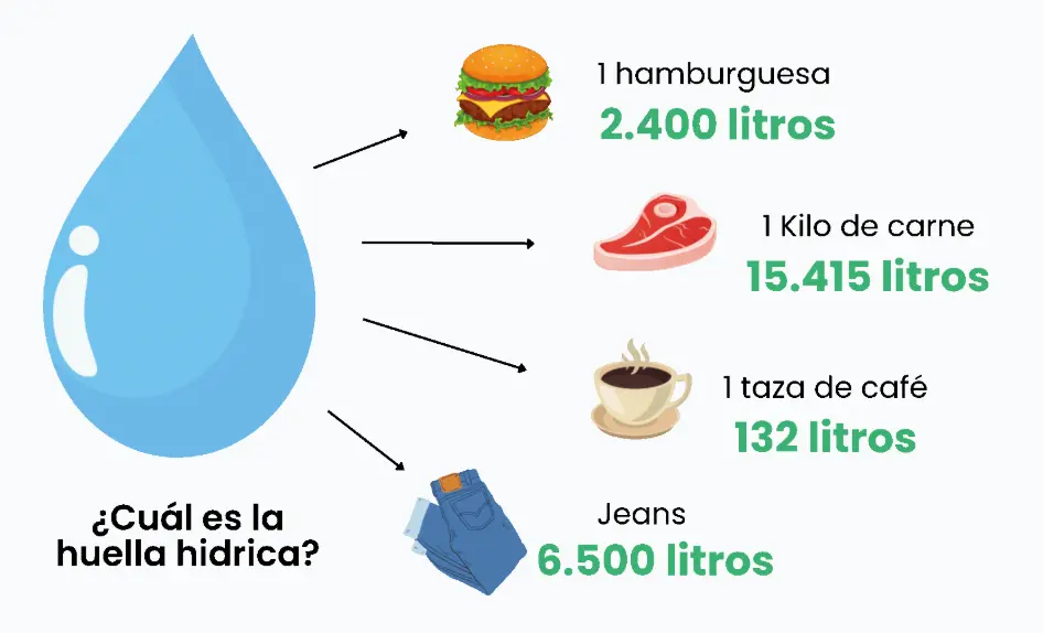 Imagen Huella Hídrica